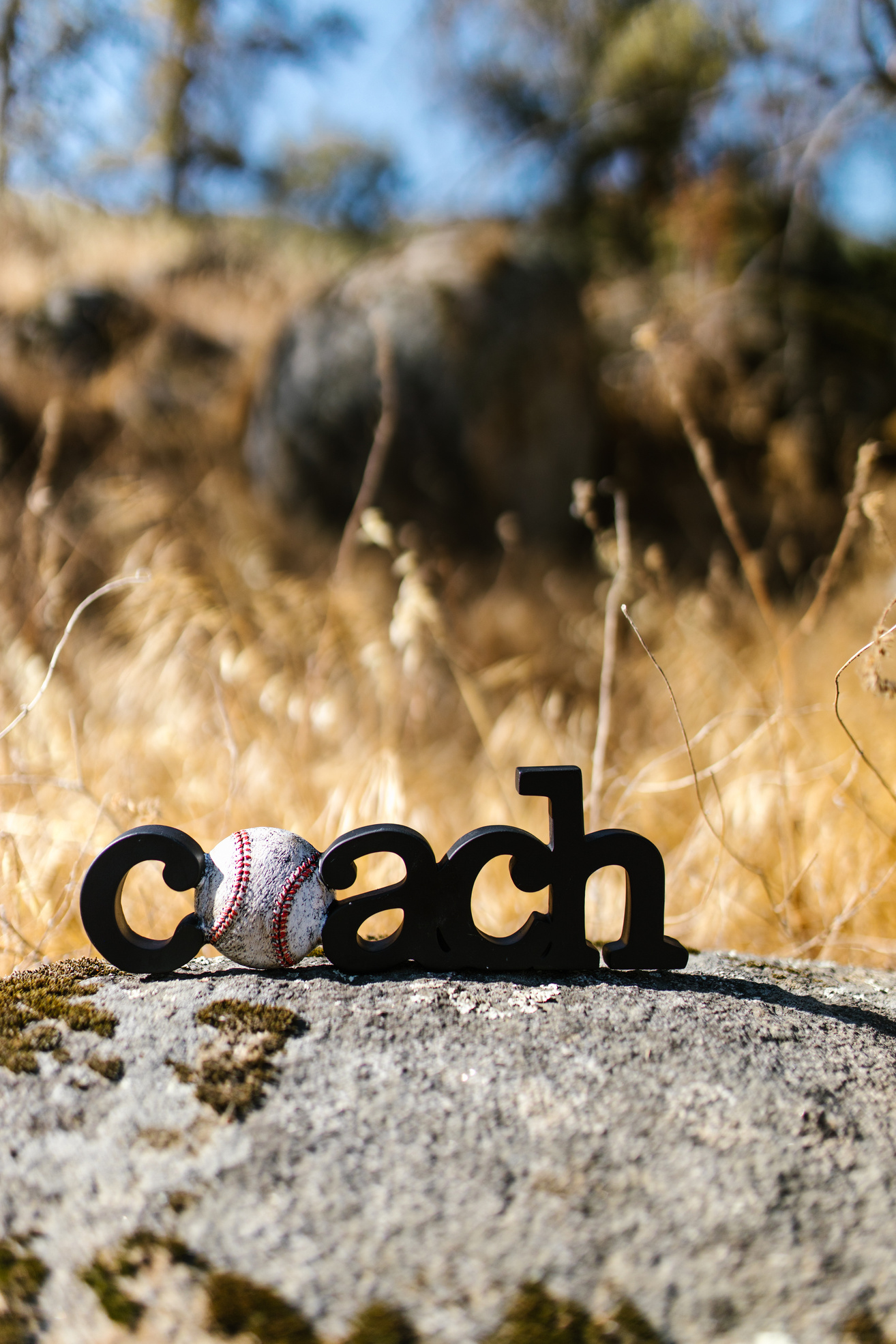 Wooden Coach Lettering 